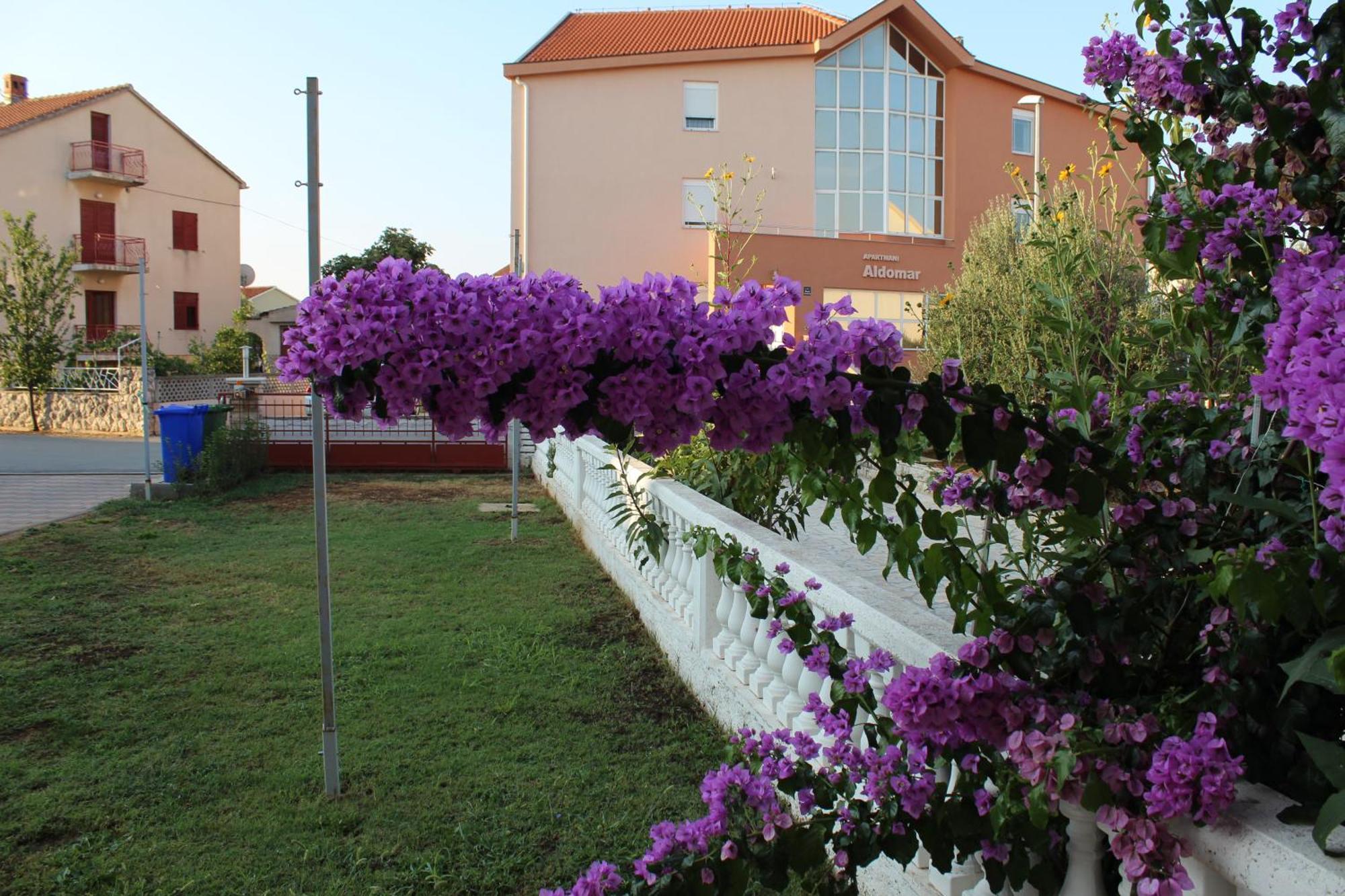 Apartment Mladen Biograd Na Moru Exterior foto